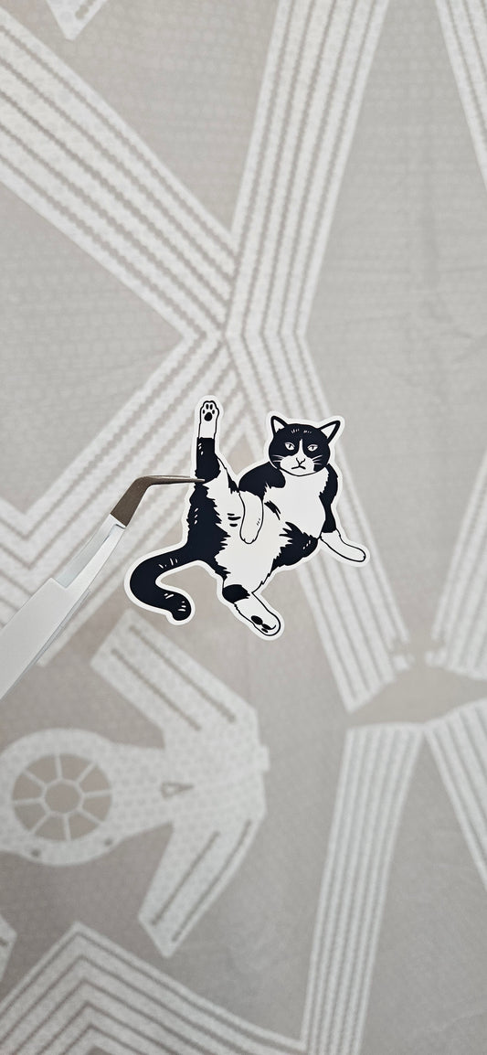 Provocative Cat Sticker